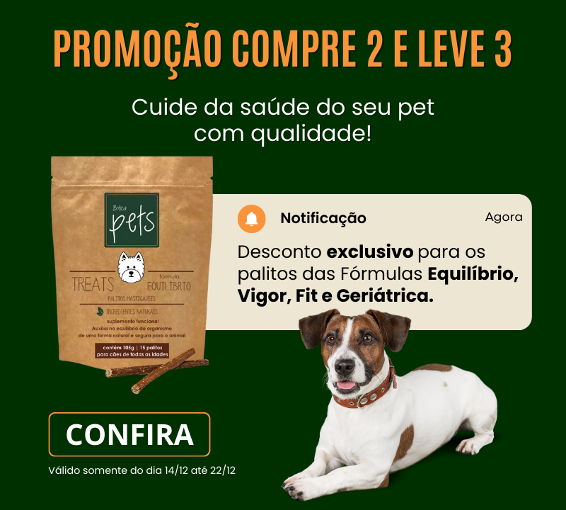 Os 10 melhores vídeos promocionais de animais engraçados para